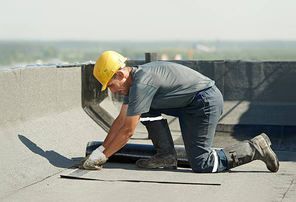 Professional Insulation Contractor in Russells Point, OH